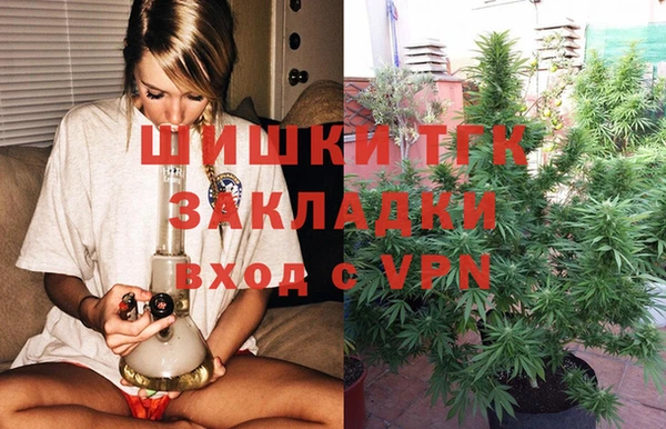 бошки Белокуриха