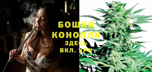 бошки Белокуриха