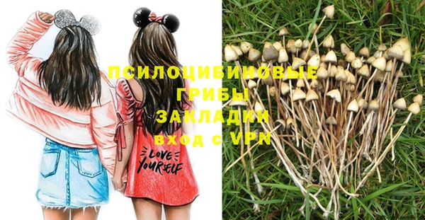бошки Белокуриха
