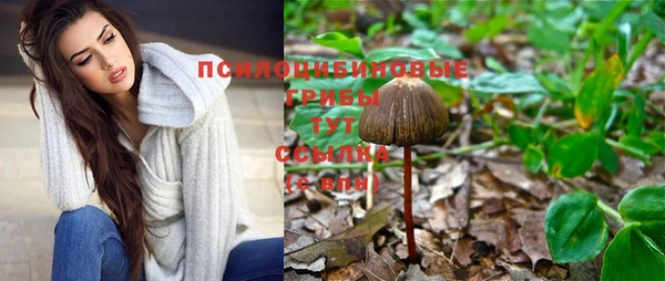 бошки Белокуриха