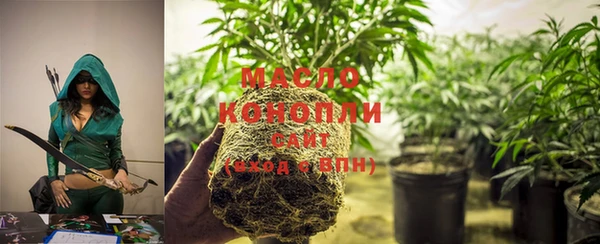 apvp Иннополис