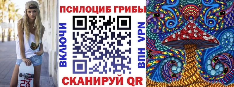 дарнет шоп  мега ссылки  Галлюциногенные грибы Psilocybe  Бородино 